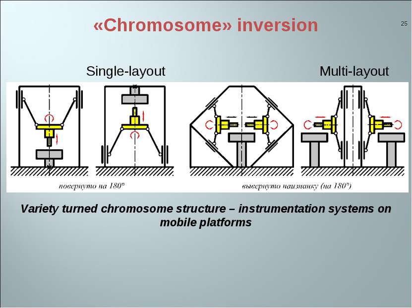 «Chromosome» inversion * Single-layout Variety turned chromosome structure – ...