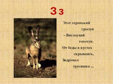 З з Этот серенький грызун – Вислоухий топотун. От беды в кустах скрываясь, За...