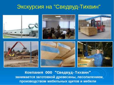 Компания ООО "Сведвуд-Тихвин" занимается заготовкой древесины, лесопилением, ...