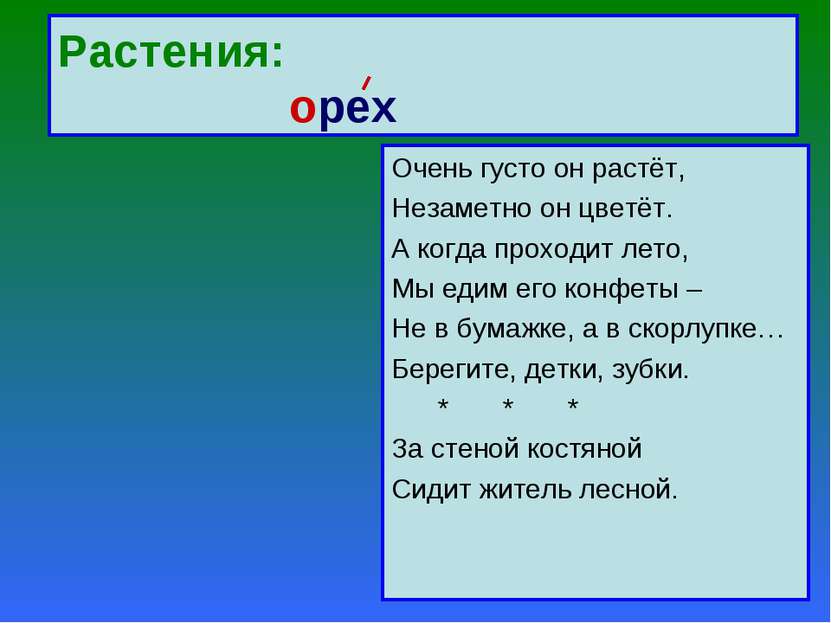 Растения: орех Очень густо он растёт, Незаметно он цветёт. А когда проходит л...