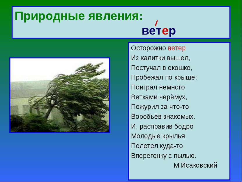 Природные явления: ветер Осторожно ветер Из калитки вышел, Постучал в окошко,...