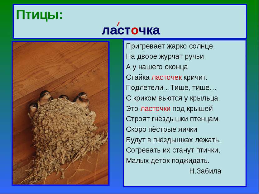 Птицы: ласточка Пригревает жарко солнце, На дворе журчат ручьи, А у нашего ок...