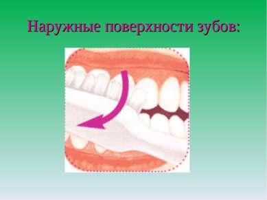 Наружные поверхности зубов: