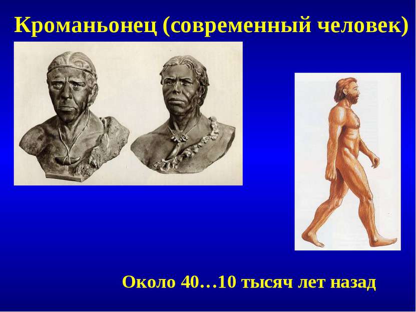 Кроманьонец (современный человек) Около 40…10 тысяч лет назад