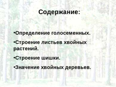 Содержание: Определение голосеменных. Строение листьев хвойных растений. Стро...