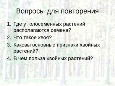 Вопросы для повторения Где у голосеменных растений располагаются семена? Что ...