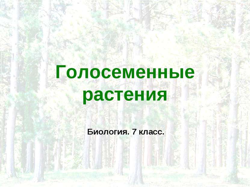 Голосеменные растения Биология. 7 класс.