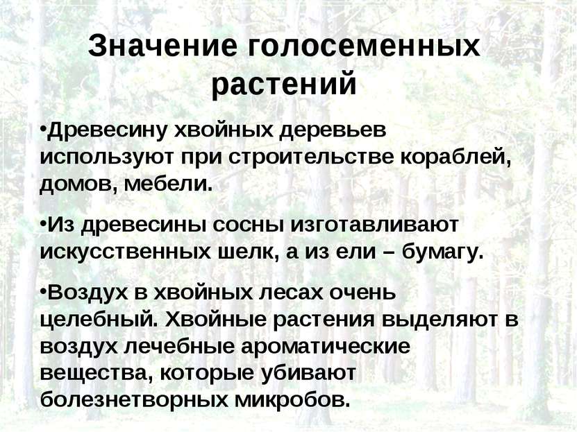 Значение голосеменных растений Древесину хвойных деревьев используют при стро...