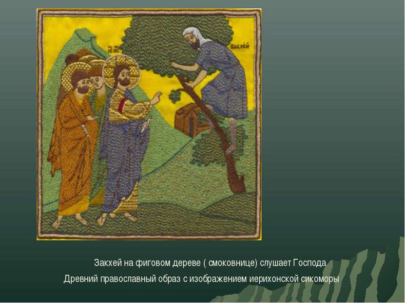 Закхей на фиговом дереве ( смоковнице) слушает Господа Древний православный о...