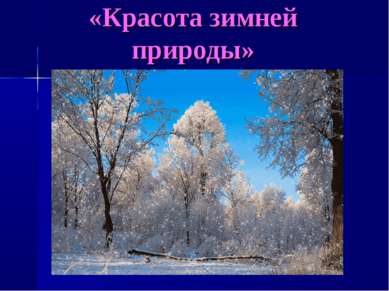 «Красота зимней природы»