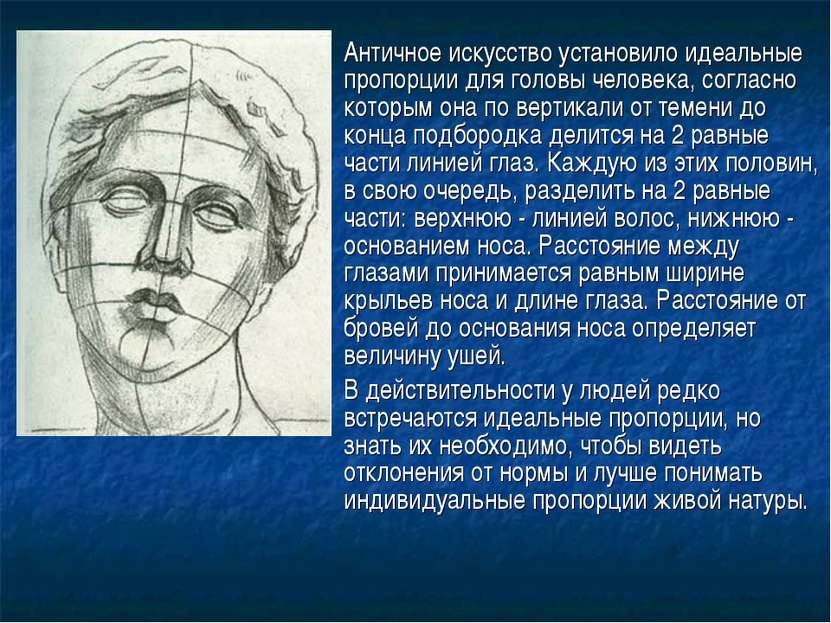 Античное искусство установило идеальные пропорции для головы человека, соглас...