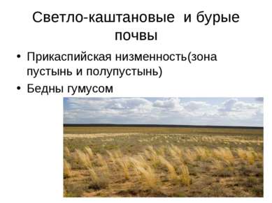 Светло-каштановые и бурые почвы Прикаспийская низменность(зона пустынь и полу...