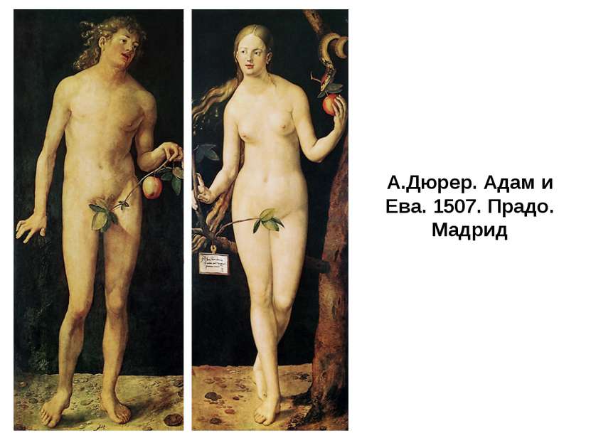 А.Дюрер. Адам и Ева. 1507. Прадо. Мадрид
