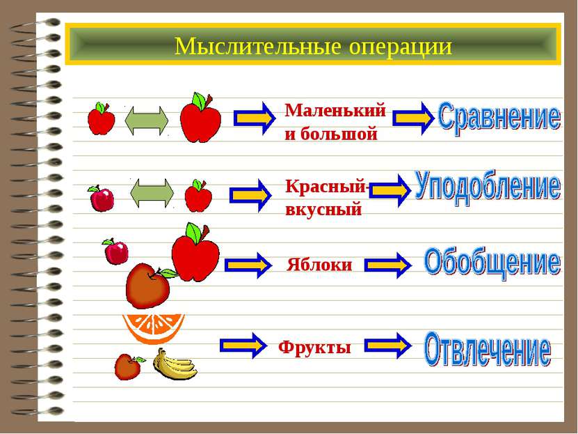 Мыслительные операции Маленький и большой Красный- вкусный Фрукты Яблоки