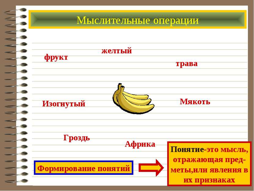 Мыслительные операции фрукт желтый трава Изогнутый Гроздь Африка Мякоть Форми...