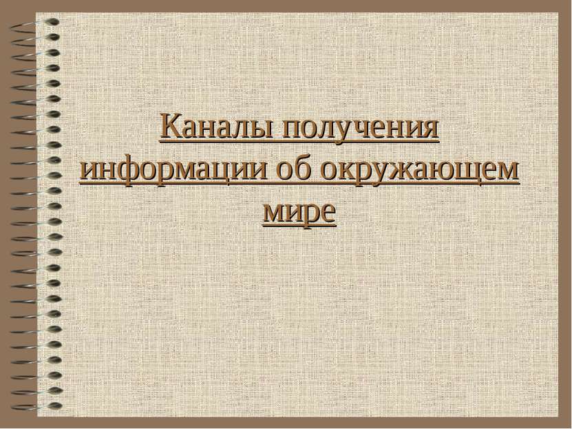 Каналы получения информации об окружающем мире