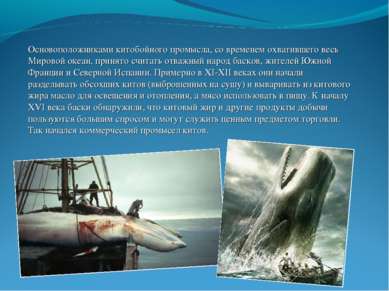 Основоположниками китобойного промысла, со временем охватившего весь Мировой ...