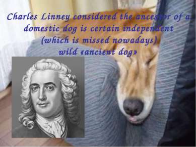 Charles Linney considered the ancestor of a domestic dog is certain independe...