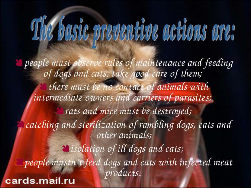 people must observe rules of maintenance and feeding of dogs and cats, take g...
