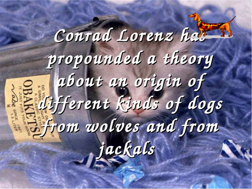 Conrad Lorenz has propounded a theory about an origin of different kinds of d...