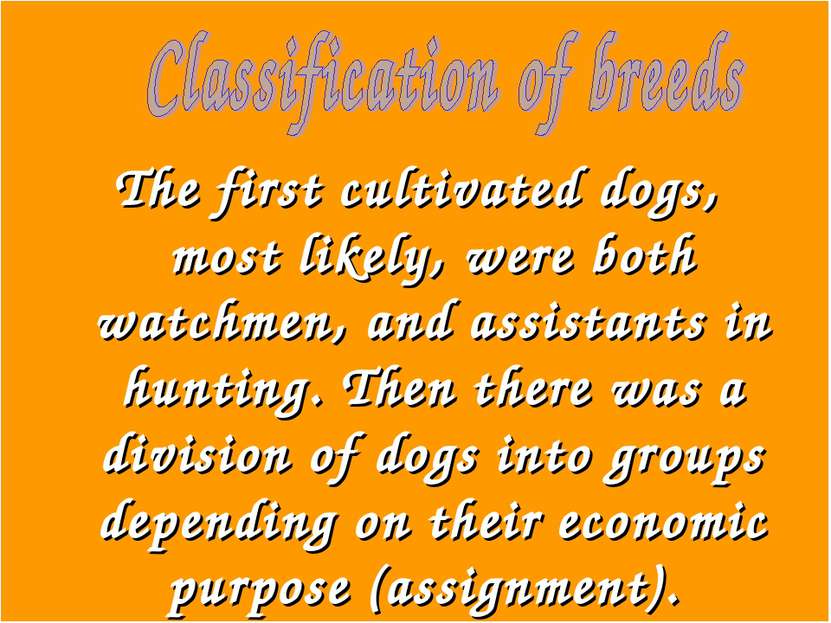The first cultivated dogs, most likely, were both watchmen, and assistants in...