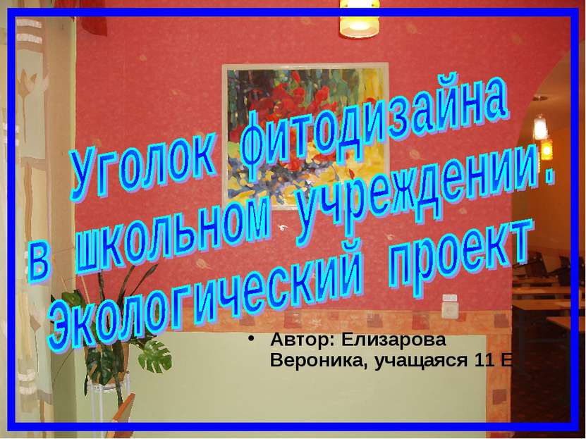 Автор: Елизарова Вероника, учащаяся 11 Е
