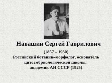 Навашин Сергей Гаврилович (1857 – 1930) Российский ботаник–морфолог, основате...