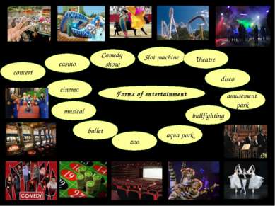 Forms of entertainment amusement park bullfighting disco aqua park zoo ballet...