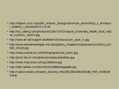 http://lidijavk.ucoz.ru/publ/k_urokam_biologii/osnovnye_aromorfozy_v_ehvoljuc...