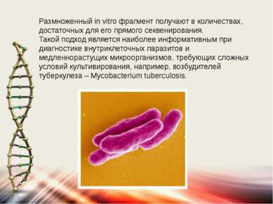 Размноженный in vitro фрагмент получают в количествах, достаточных для его пр...