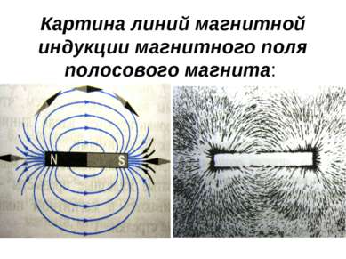 Картина линий магнитной индукции магнитного поля полосового магнита: