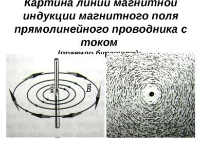 Картина линий магнитной индукции магнитного поля прямолинейного проводника с ...