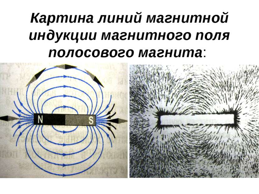 Картина линий магнитной индукции магнитного поля полосового магнита: