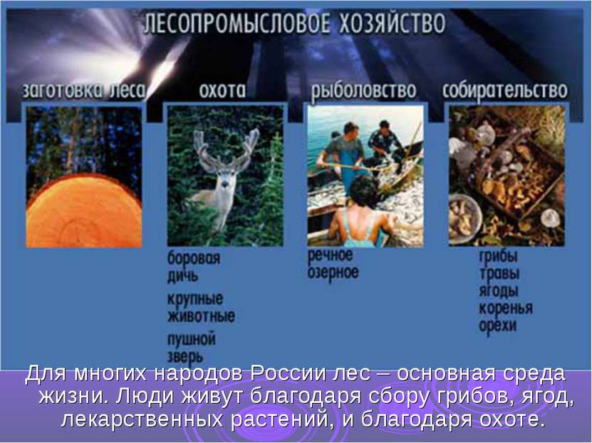Для многих народов России лес – основная среда жизни. Люди живут благодаря сб...