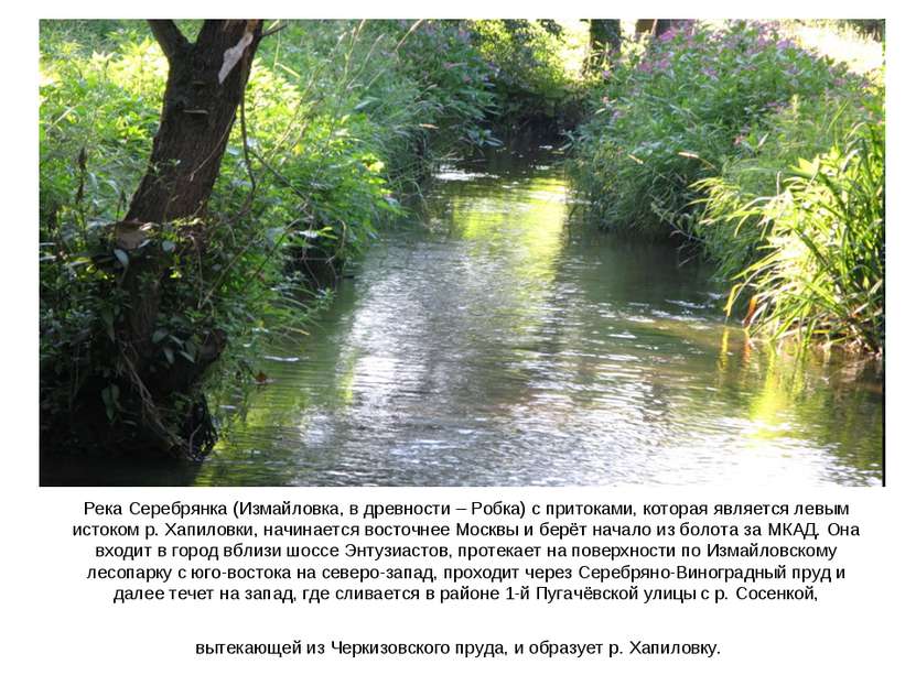 Река Серебрянка (Измайловка, в древности – Робка) с притоками, которая являет...