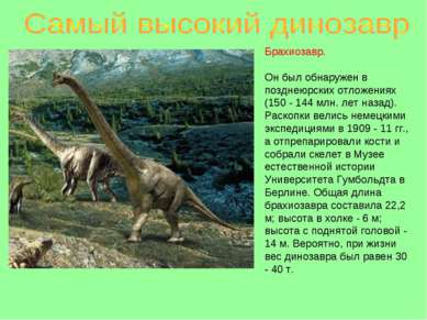 Брахиозавр. Он был обнаружен в позднеюрских отложениях (150 - 144 млн. лет на...