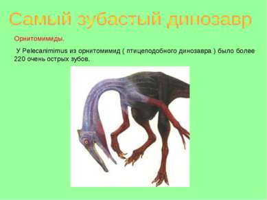 Орнитомимиды. У Pelecanimimus из орнитомимид ( птицеподобного динозавра ) был...