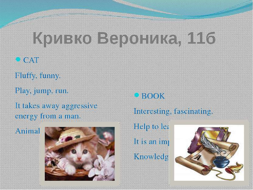 Кривко Вероника, 11б СAT Fluffy, funny. Play, jump, run. It takes away aggres...