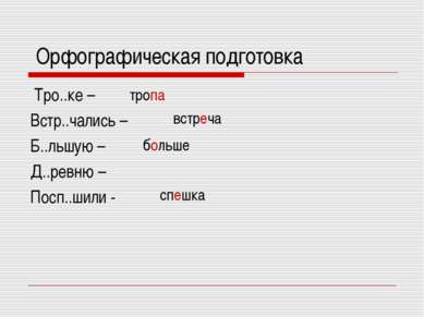 Орфографическая подготовка Тро..ке – Встр..чались – Б..льшую – Д..ревню – Пос...