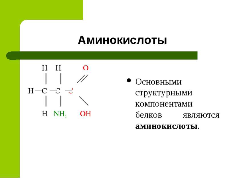 Аминокислоты H H O H C C C H NH2 OH Основными структурными компонентами белко...