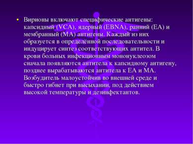 Вирионы включают специфические антигены: капсидный (VCA), ядерный (EBNA), ран...