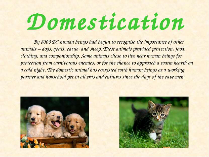 Domestication By 8000 BC human beings had begun to recognise the importance o...