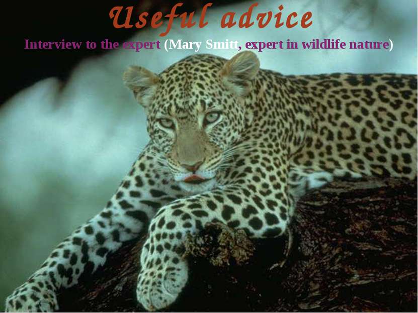 Useful advice Interview to the expert (Mary Smitt, expert in wildlife nature)
