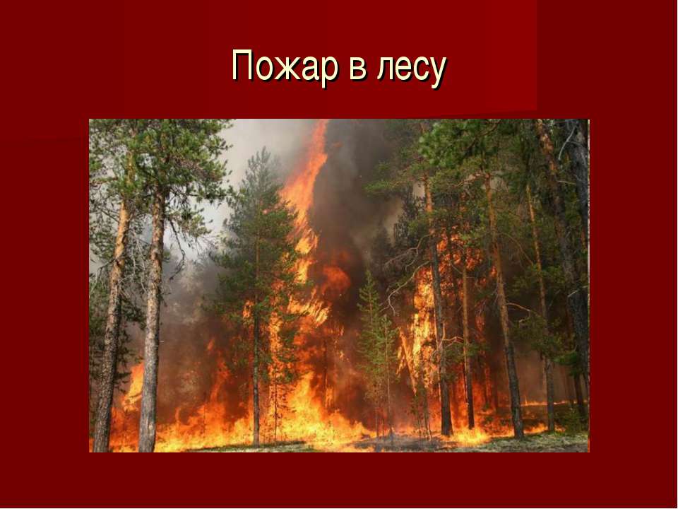 Лесные пожары 2 класс. Пожар в лесу. Слайд пожар в лесу. Лесные пожары презентация. Пожары в лесах презентация.