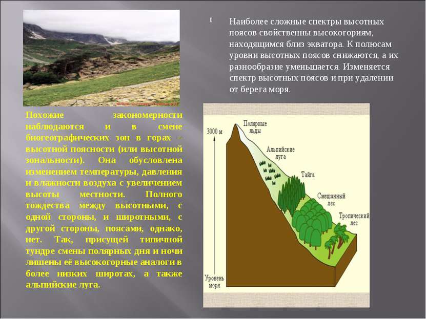 Похожие закономерности наблюдаются и в смене биогеографических зон в горах – ...