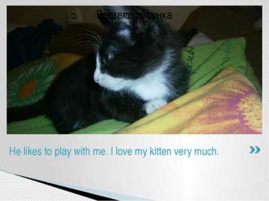 He likes to play with me. I love my kitten very much.