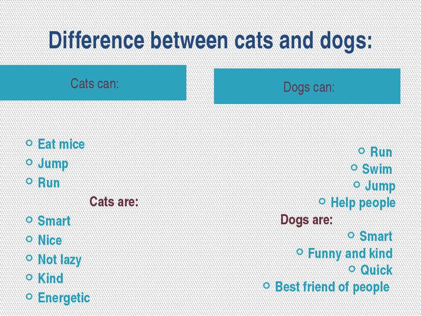 Difference between cats and dogs: Cats can: Dogs can: Eat mice Jump Run Cats ...