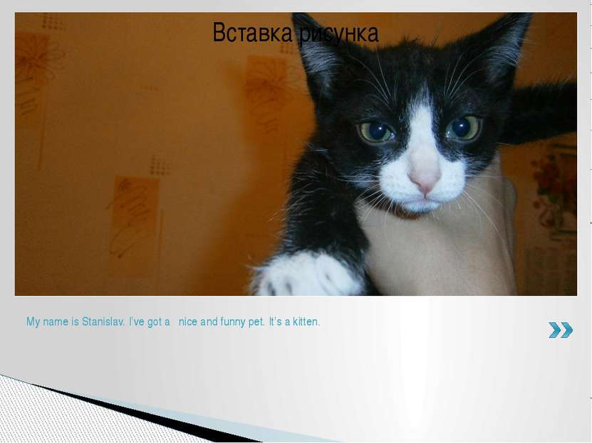 My name is Stanislav. I’ve got a nice and funny pet. It’s a kitten.