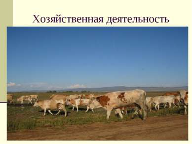 Хозяйственная деятельность Астраханская полупустыня