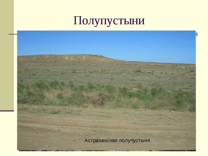 Полупустыни Астраханская полупустыня